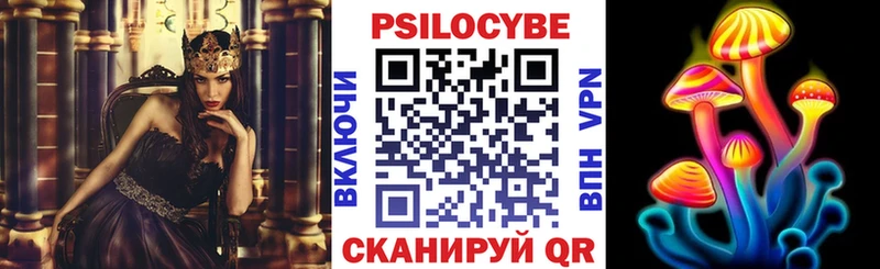 Псилоцибиновые грибы прущие грибы блэк спрут сайт Ленинск